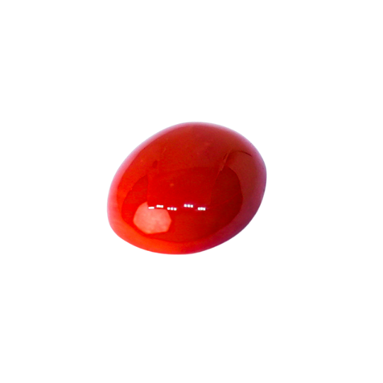 thumbnail image of Moonga/red coral by Cosmogyaan